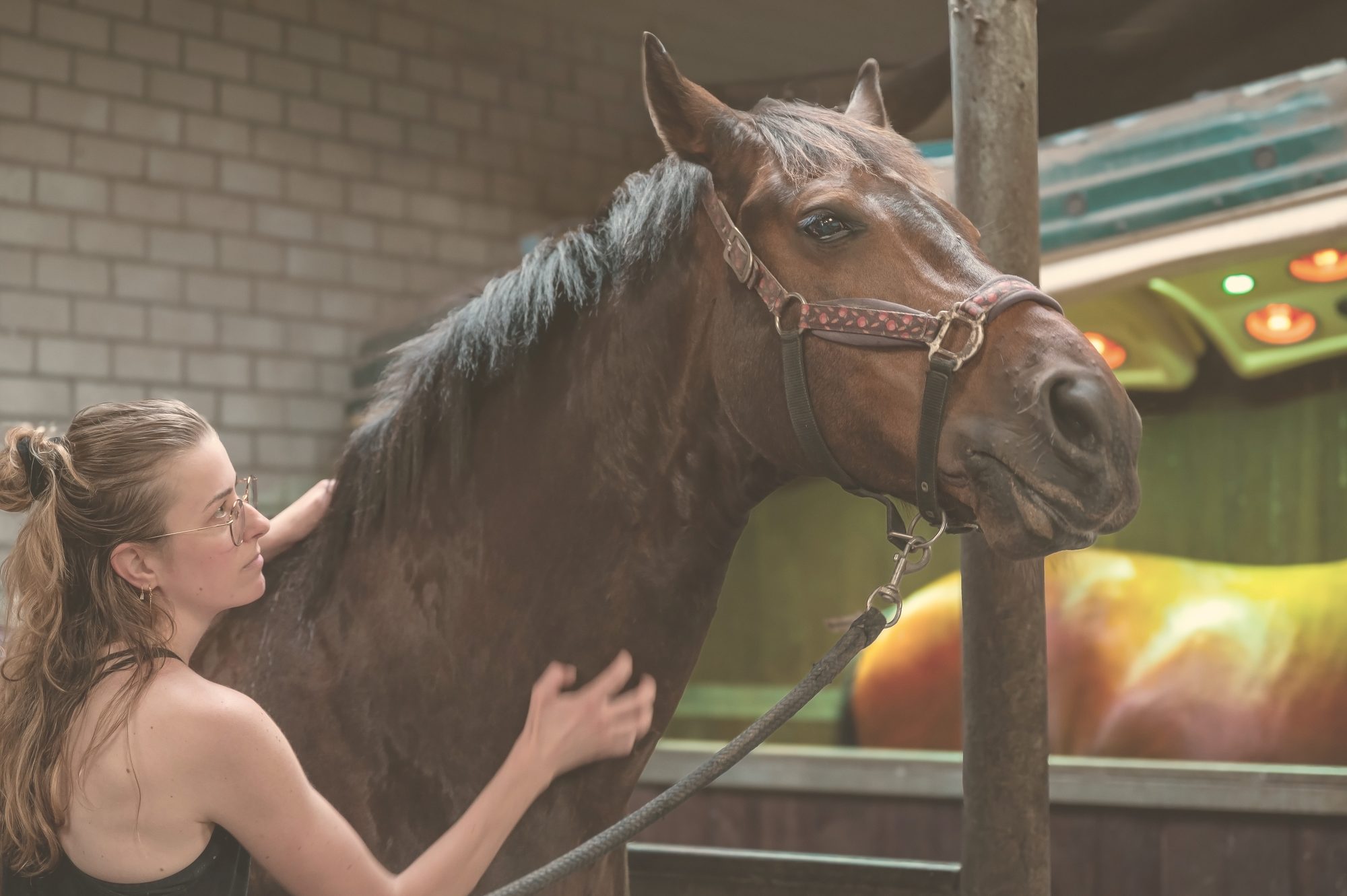 Een vrouw bij haar paard op het erf van Equinova in Hoeven