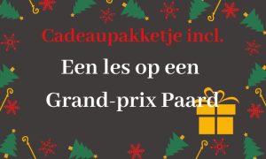 Een les op een Grand Prix paard🏆