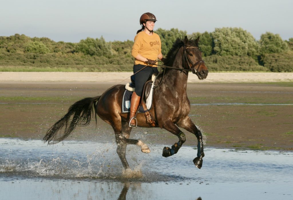 HARDE WERKER ENJOY VINDT HET HEERLIJK OM DOOR HET WATER TE GALOPPEREN