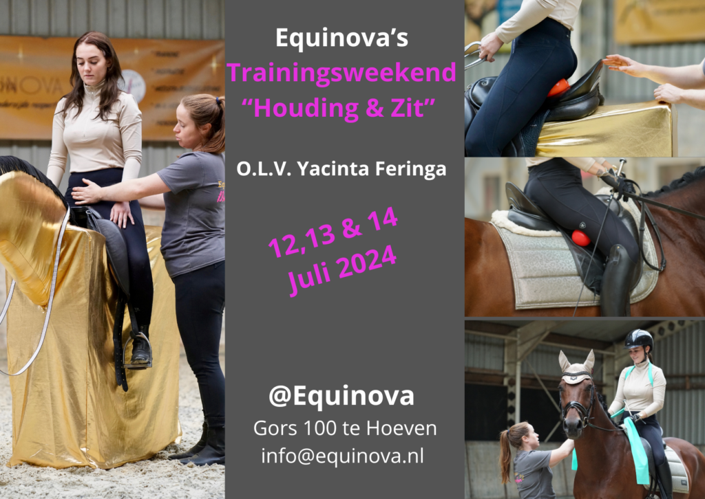 Equinova's trainingsweekend Houding en Zit olv Yacinta Feringa van All in 1 for horses
